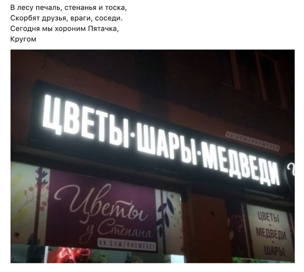 цветы шары медведи))))))