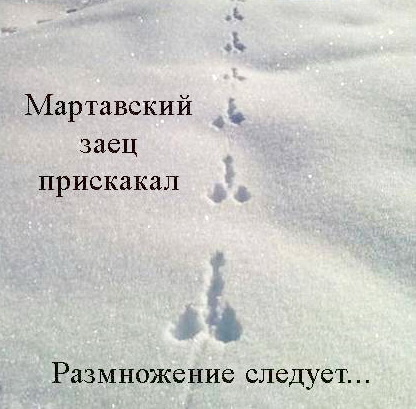 мартавский заец прискакал - размножение следует))))))