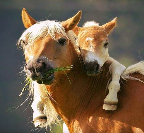 Что год грядущий нам несёт..