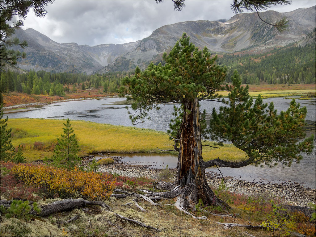 несломленный