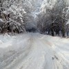 Красота Красота