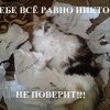 Курсовая работа