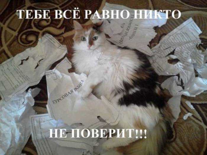 Курсовая работа