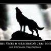 Маленький волк