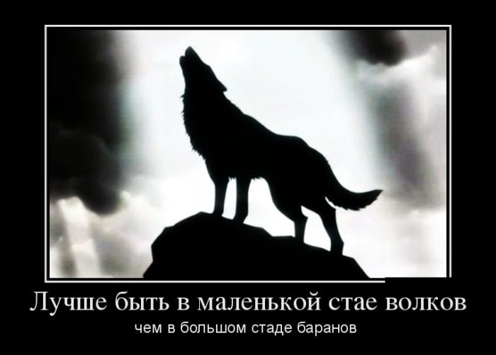 Маленький волк