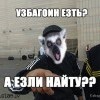 узбагоин ездь???)))) узбагоин ездь???))))