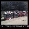 65249943 na-nuzhdyi-demokratii