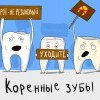 коренные зубы))))
