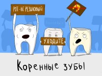 коренные зубы))))