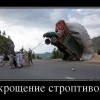 Укрощение Укрощение
