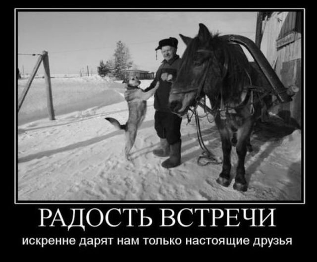 Радость встречи