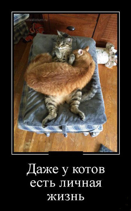 Личная жизнь