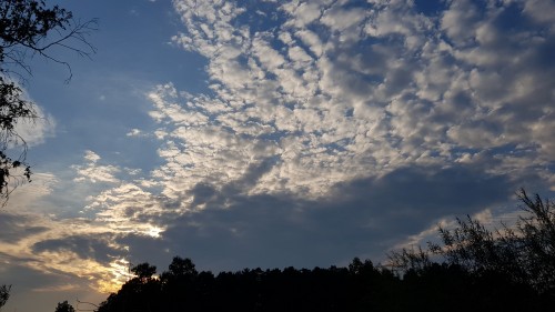 очередные облака))))))