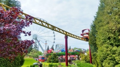 Моё, Санкт-Петербург, город, хорошо, Диво Остров