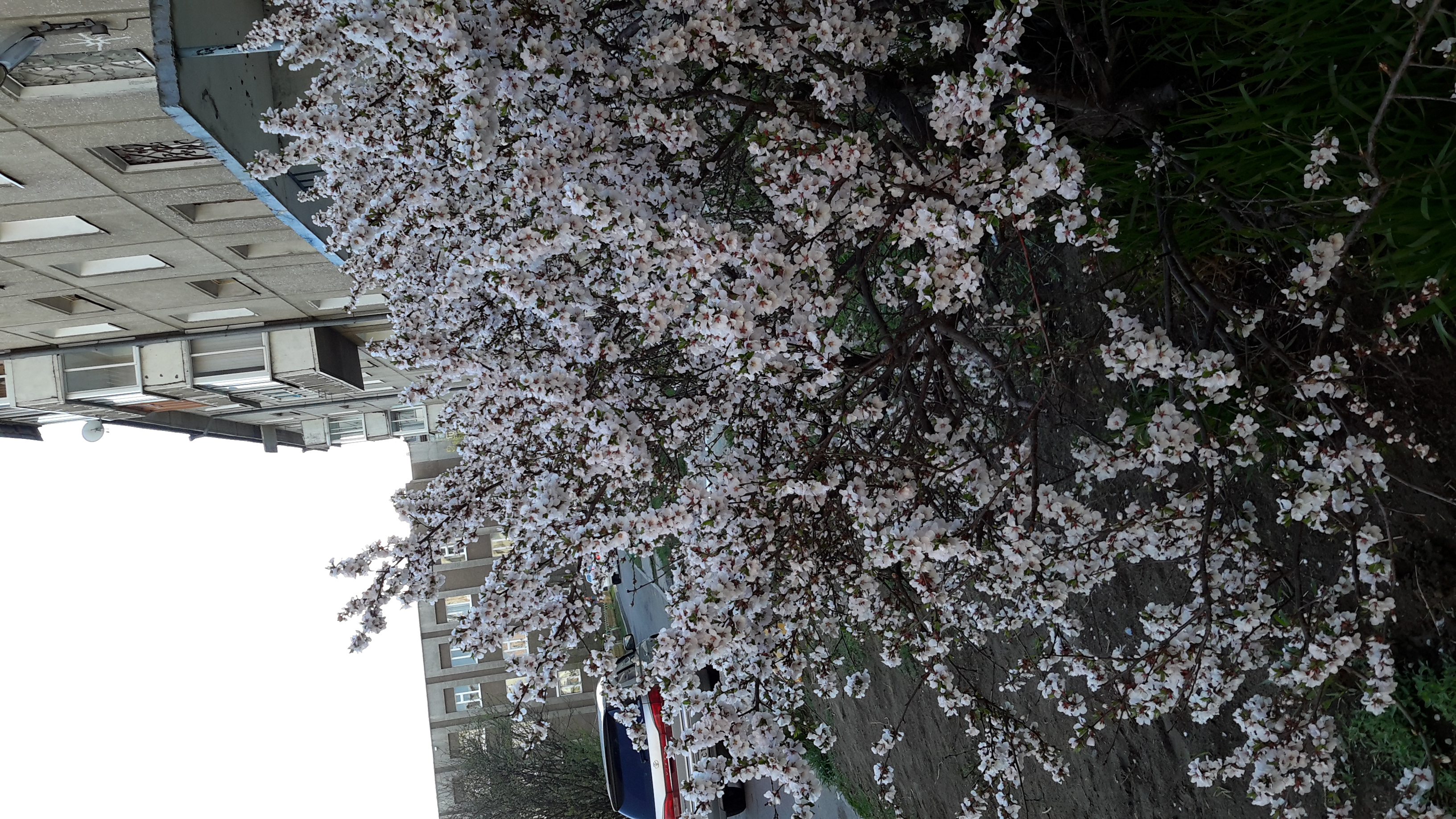 Красотища?..