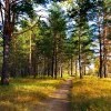 осенневоскресное)))))