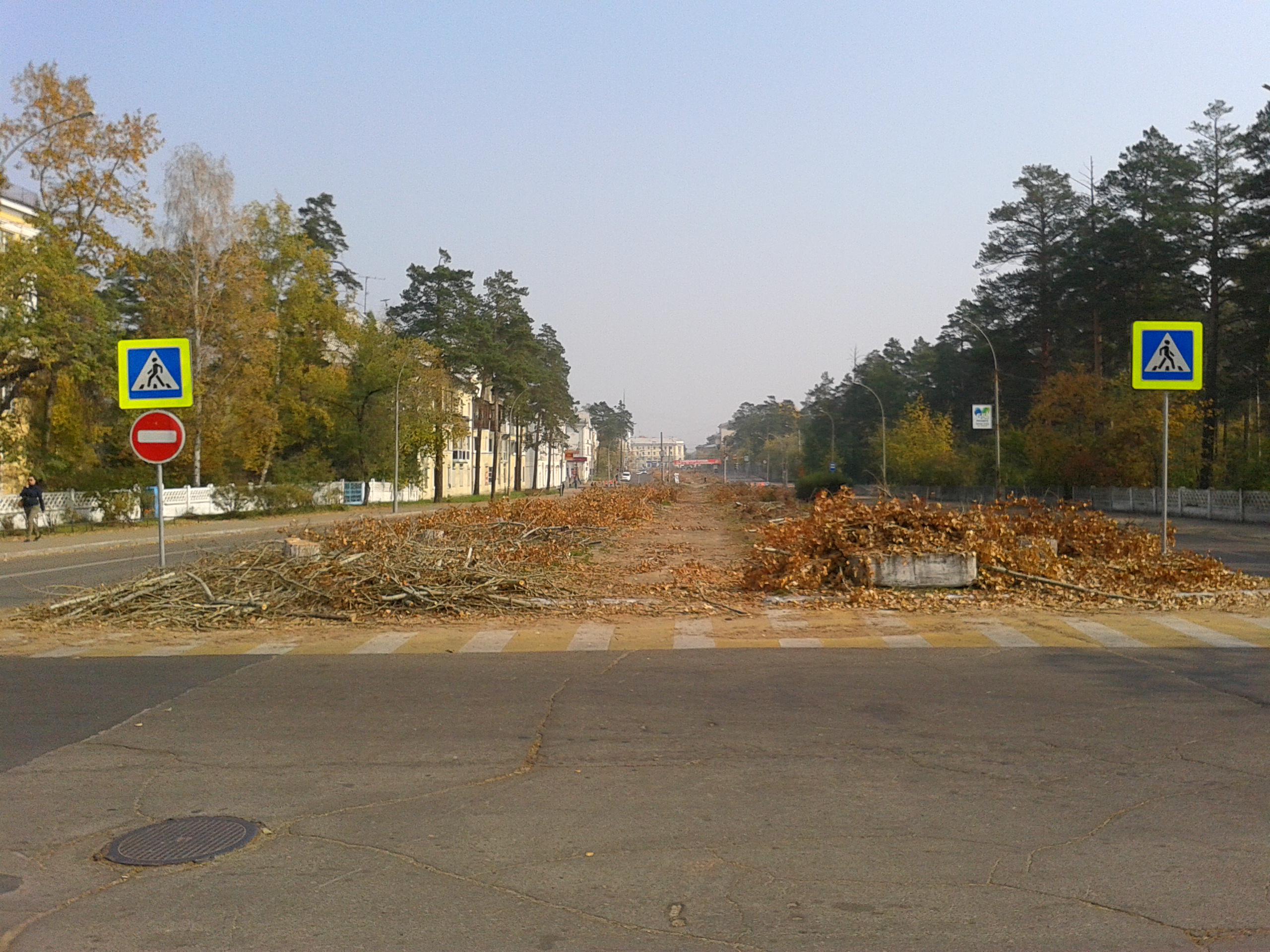 Перспектива ул. Ленина