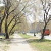 IMG 2479 IMG 2479