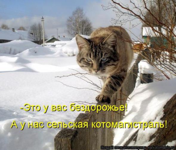 732431916438ae6358d54bfe748 prev