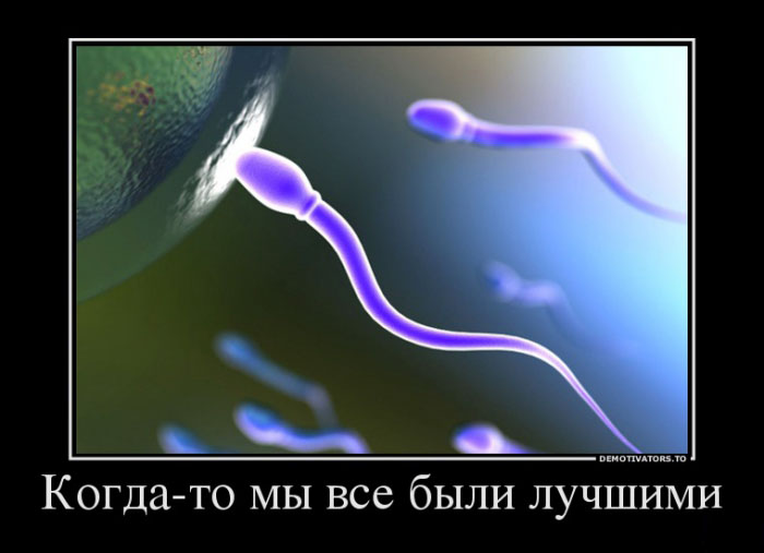 Были лучшими...
