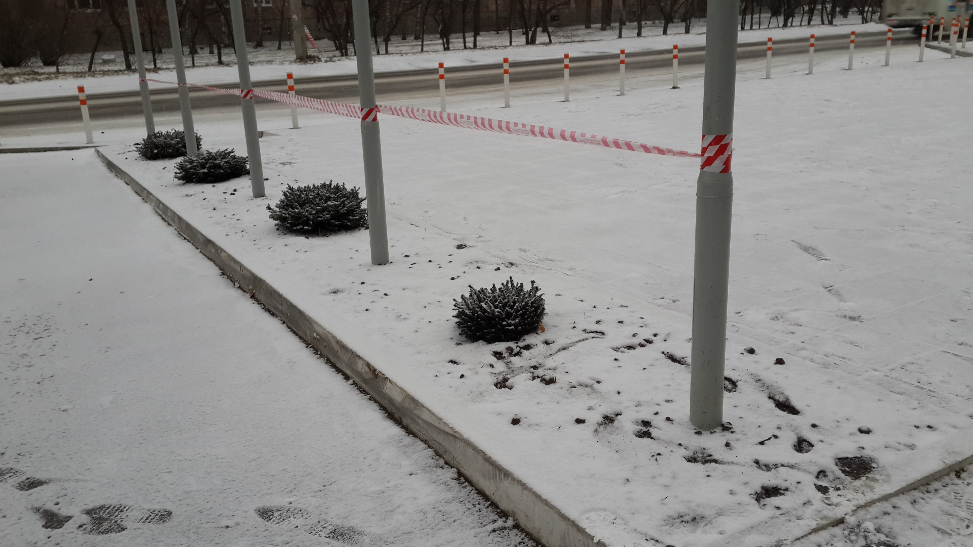 ежики для Тети Моти