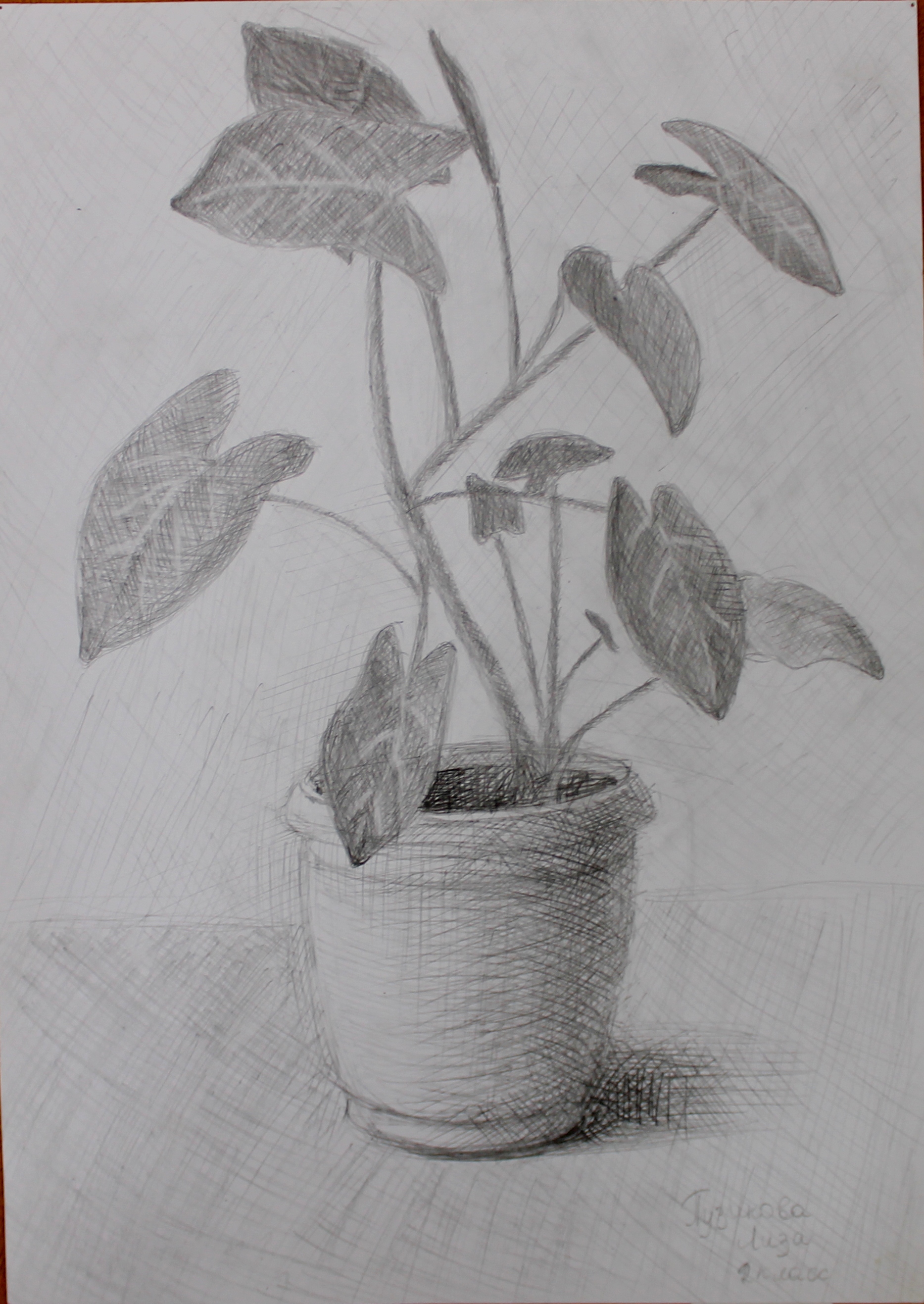 Пузикова Лиза.