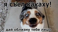 аблизать лицо?))))))