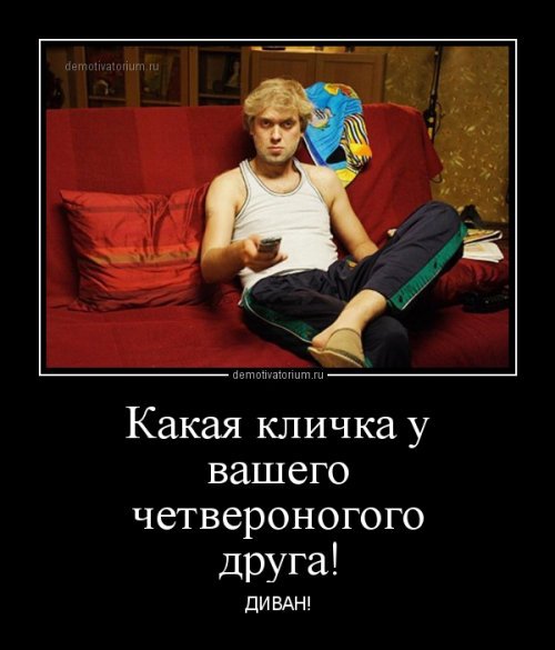 Четвероногий друг...