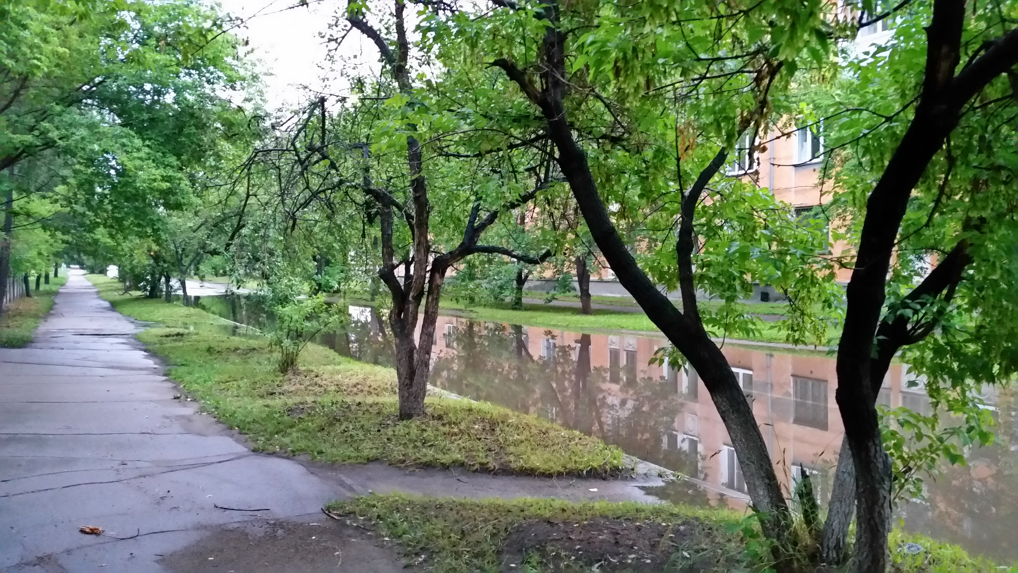 улица Рыночная 6 утра))))))