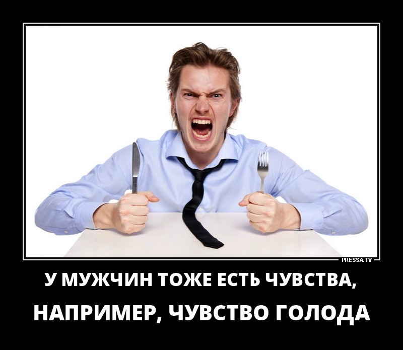 Чувства