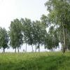 сибирь сибирь