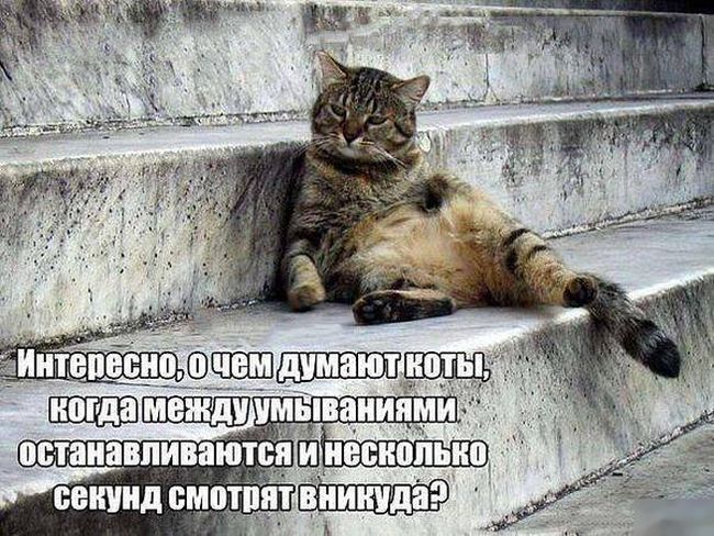 Взгляд вникуда...