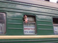 И где ты шлялся до 5 утра? -Ой, не начинай,а.. Шляются гулящие, а я путешествую...))