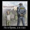 Не в бровь,а в глаз