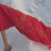 Красные в городе Красные в городе