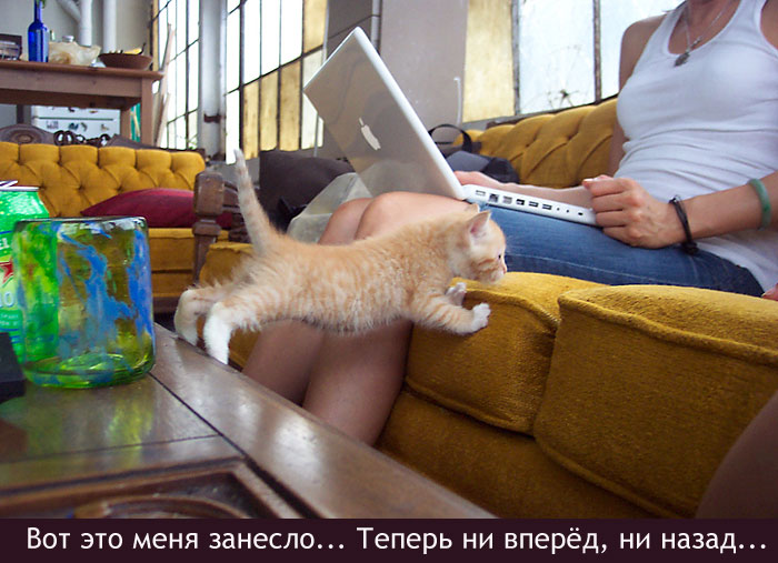 Занос