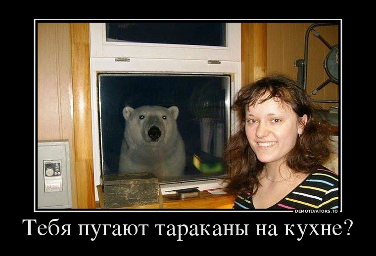 27253514 tebya-pugayut-tarakanyi-na-kuhne