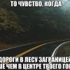 Дороги в лесу,за границей Дороги в лесу,за границей