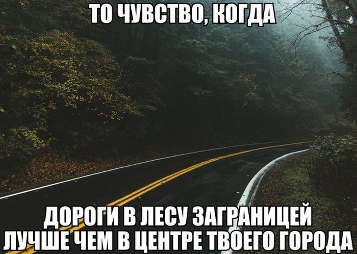 Дороги в лесу,за границей