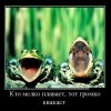 Громко квакает Громко квакает