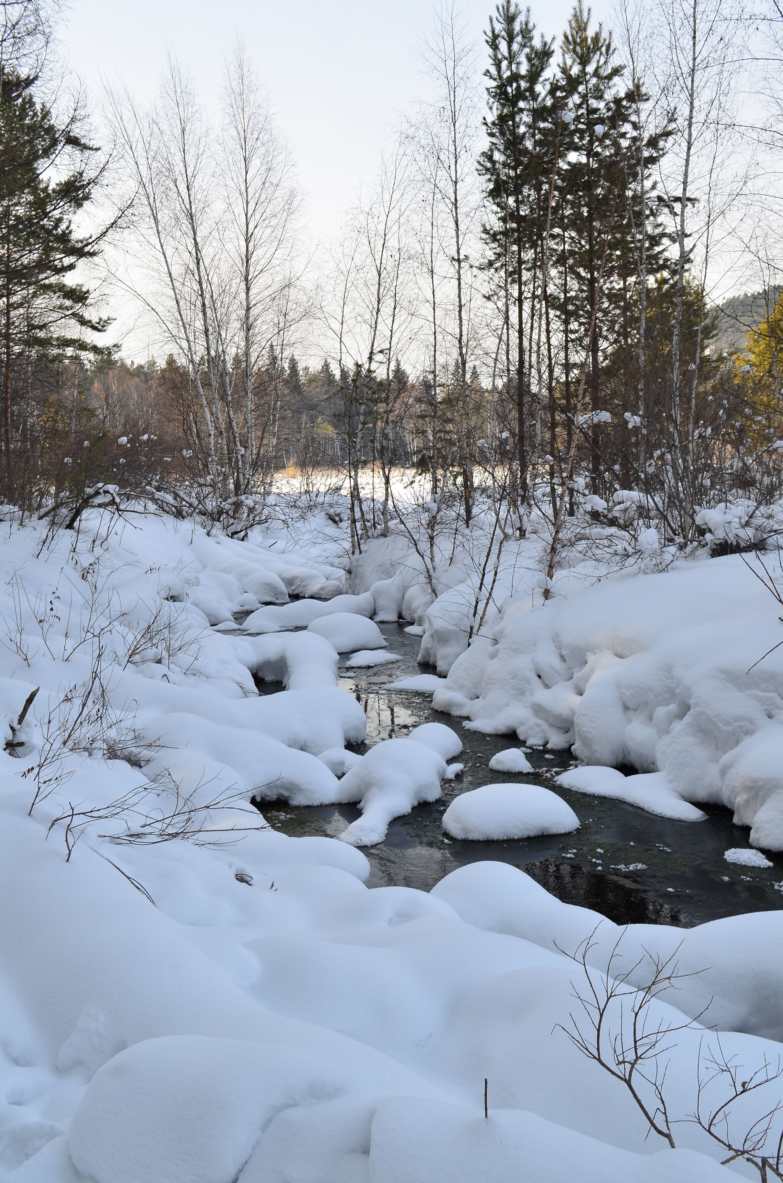 ДООЛ ЛУКОМОРЬЕ