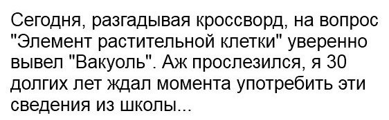 Вакуоль