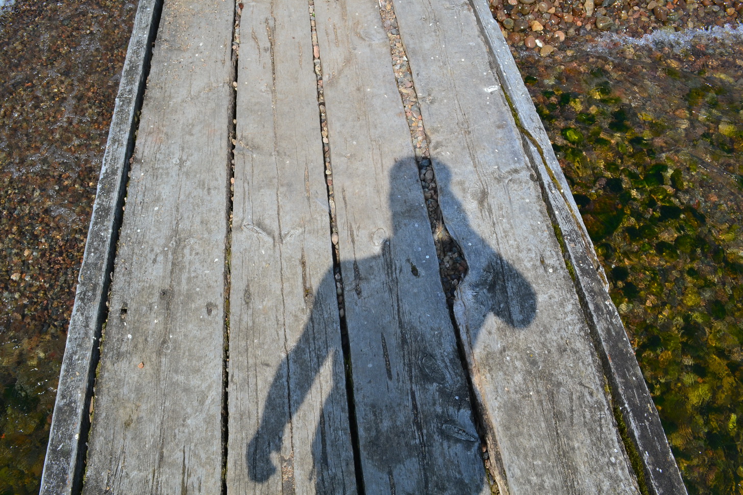 моя деревянновдольпоперечная тень))))))