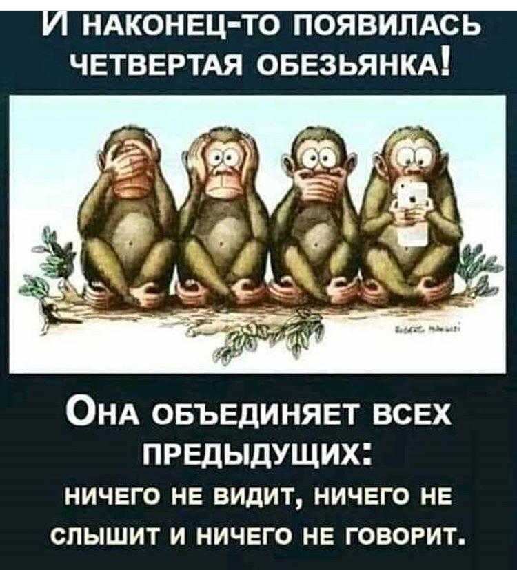 четвертая обезьянка 