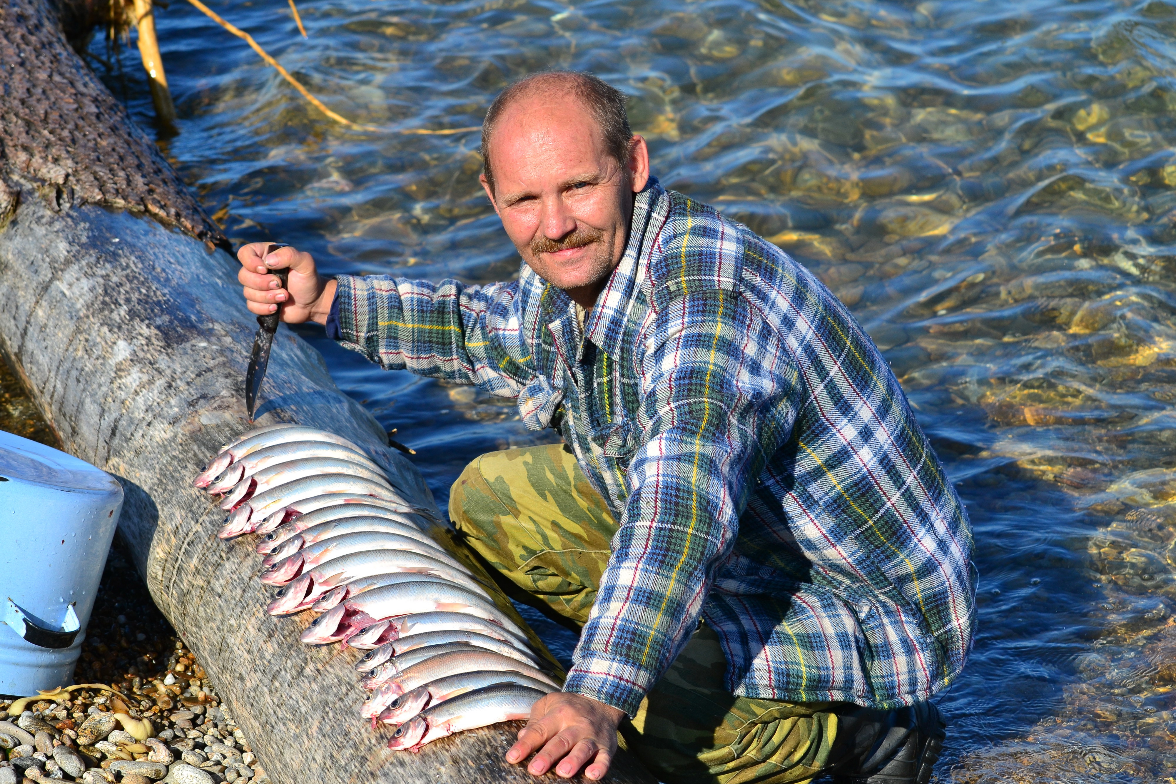 в прекрасной воде прекрасная рыба