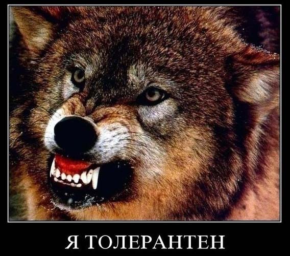 100 -я толерантен