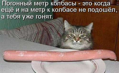 истина