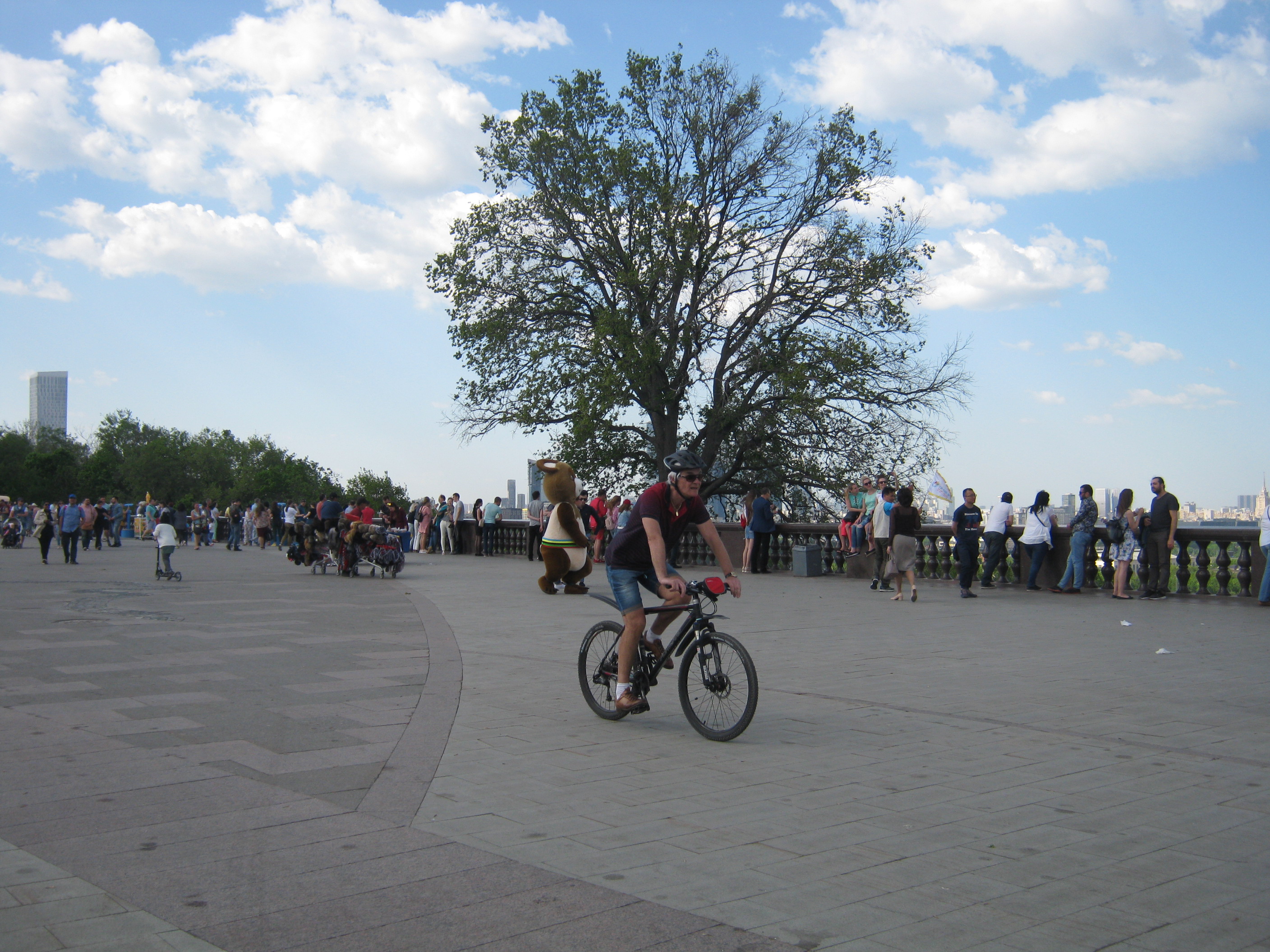 Белый