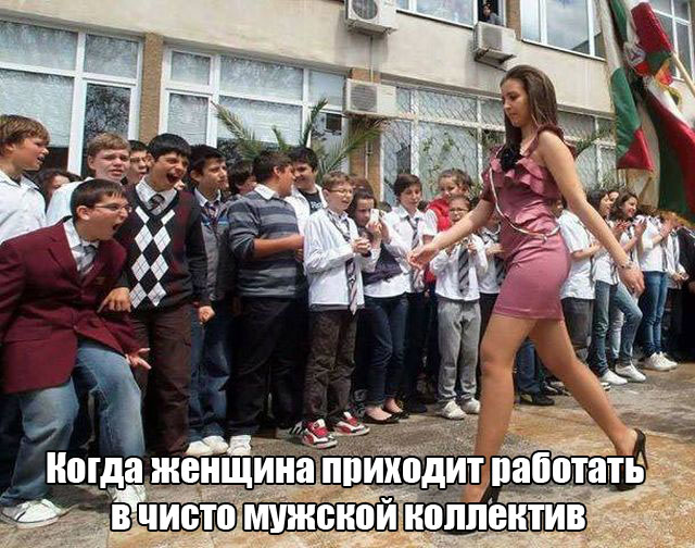 Чисто мужской коллектив