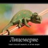 Лицемерие